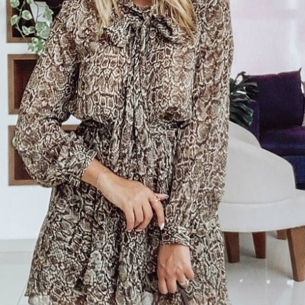 Zara Brown Snake Print Long Sleeve Dress